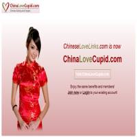 Chinese Love Links image